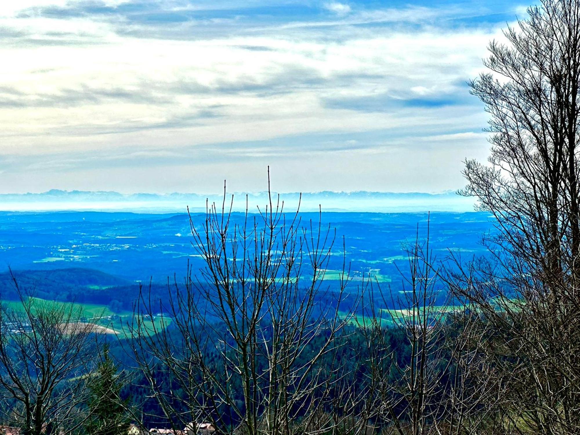 Gemuetliches Alpenblick Berg-Bungalow + Grosser Garten + Netflix! Schofweg Экстерьер фото
